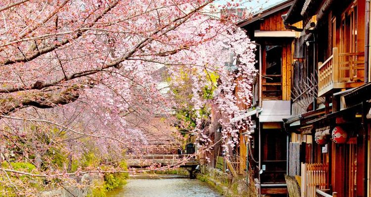 京都住宿 處京都最佳日式傳統旅館 Tsunagu Japan 繫日本