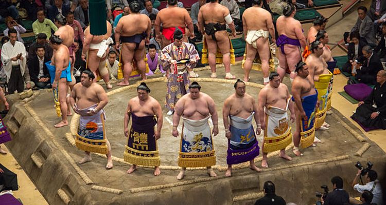 8 Ways to Enjoy the Sumo Experience in Japan | tsunagu Japan