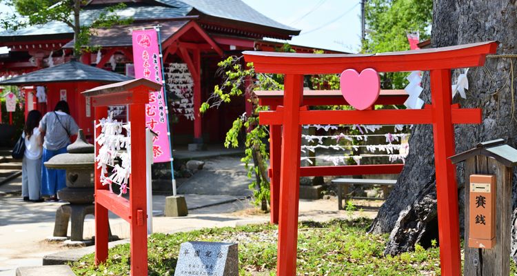 30 间能够祈求良缘开运的神社 Tsunagu Japan