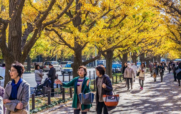 japan places to visit in autumn