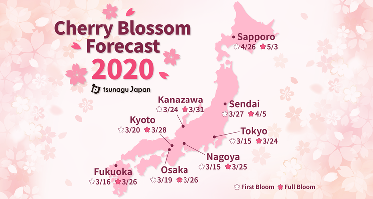 Cherry Blossom Forecast 2020: What’s the Best Time for Cherry Blossom ...