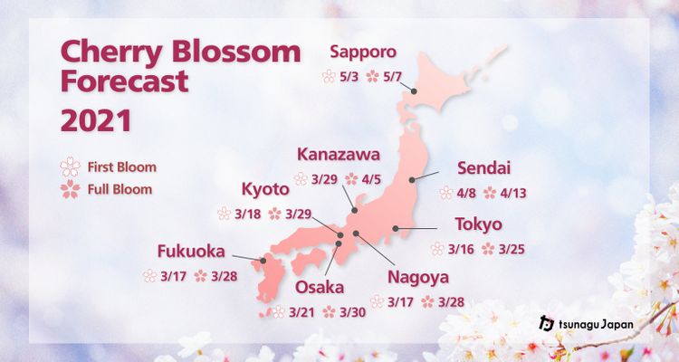 [Updated 2/22] Cherry Blossom Forecast 2021! When’s the Best Time to ...