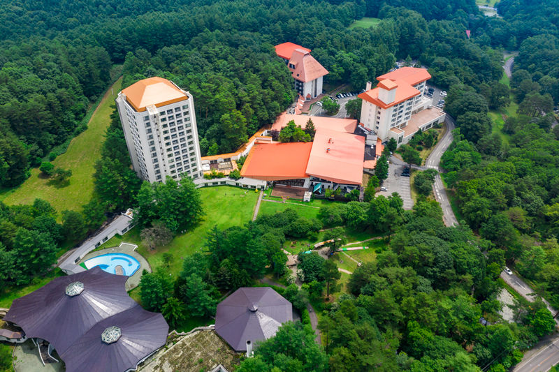 Dji 0303 s