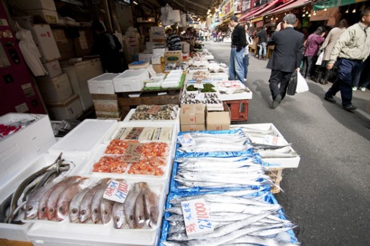 shotengai shopping street japan fish market tsukiji