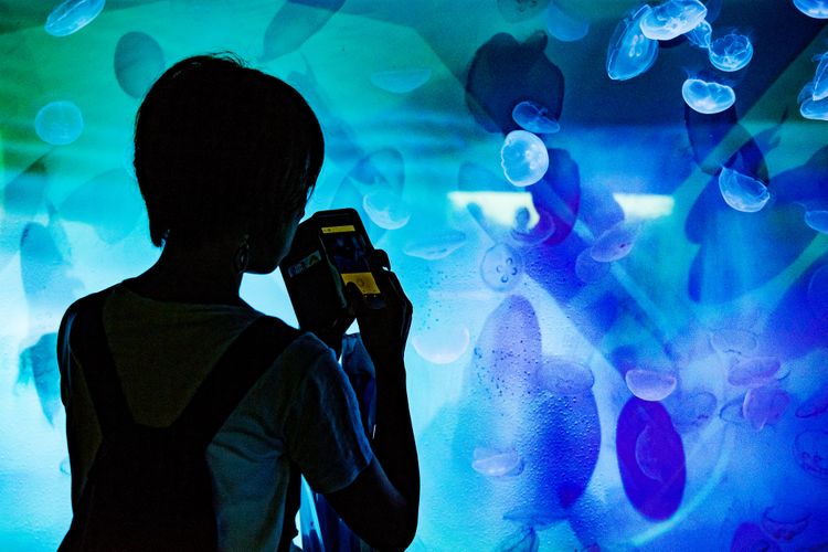 woman taking pictures of aquarium within tokyo solamachi