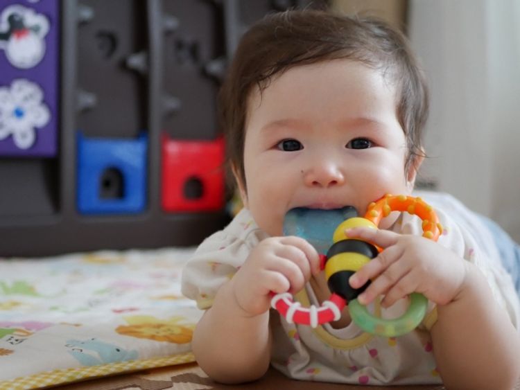 baby gnawing on a toy