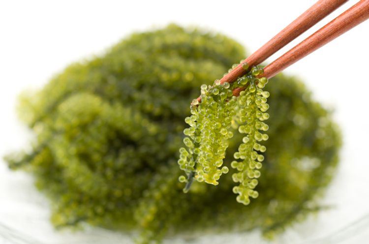 Umibudo With Chopsticks