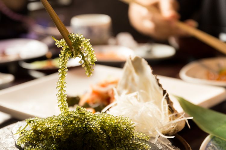 eating umibudo for dinner