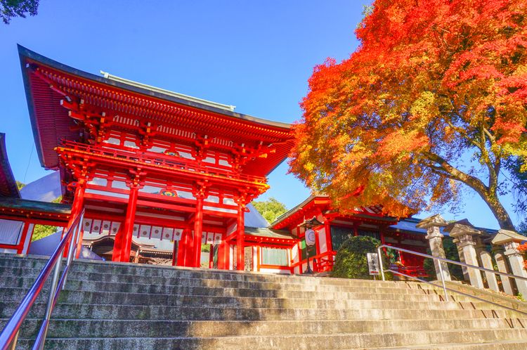 omi jingu shrine, shiga
