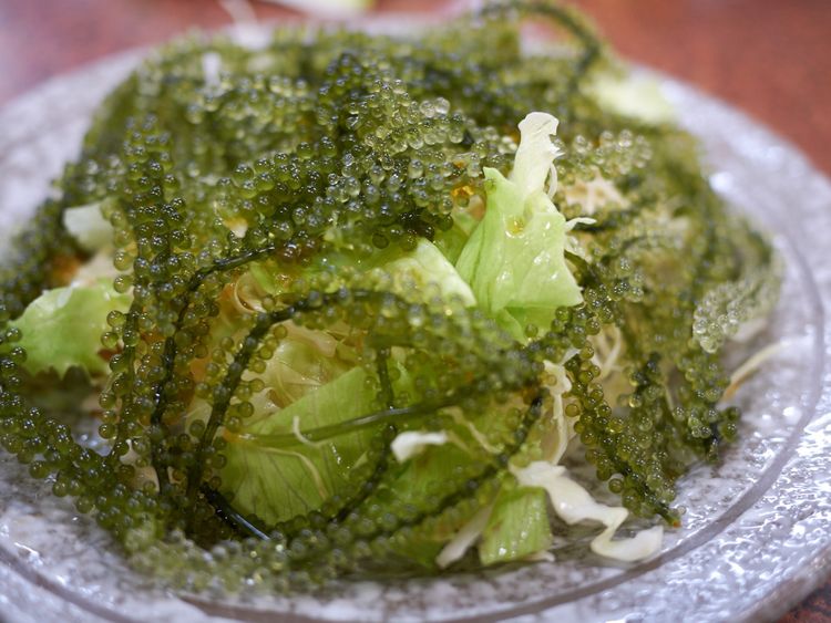 Delicious umibudo salad