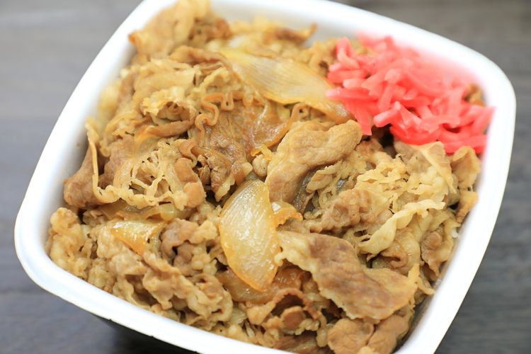 beef bowl gyudon