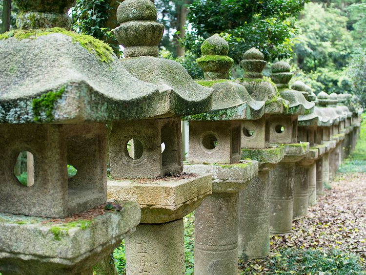 ishidoro (stone lanterns) lined up