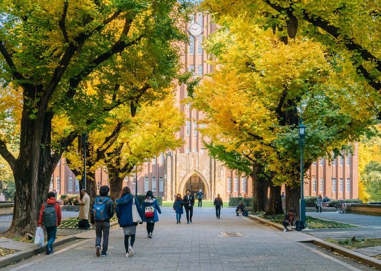 東京大學校園內