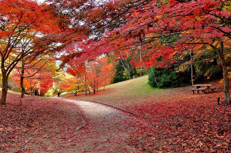 Vườn Kobe Municipal Arboretum