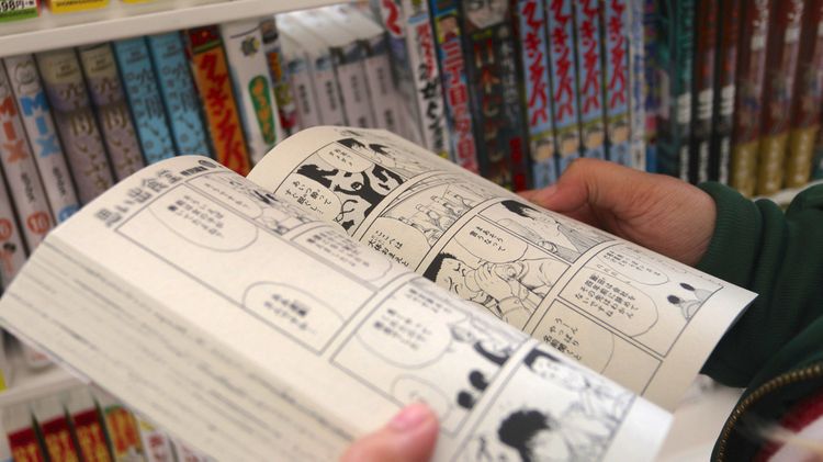 The Publishing and Distribution System of Japanese Manga and Doujinshi