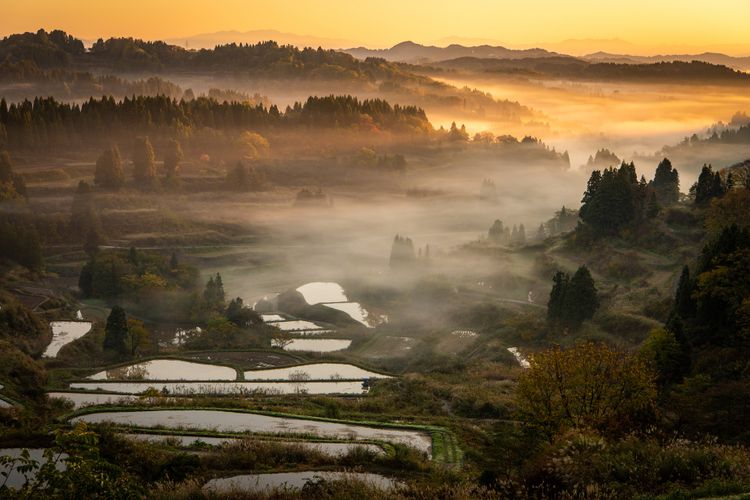 Hoshitoge Rice Terraces