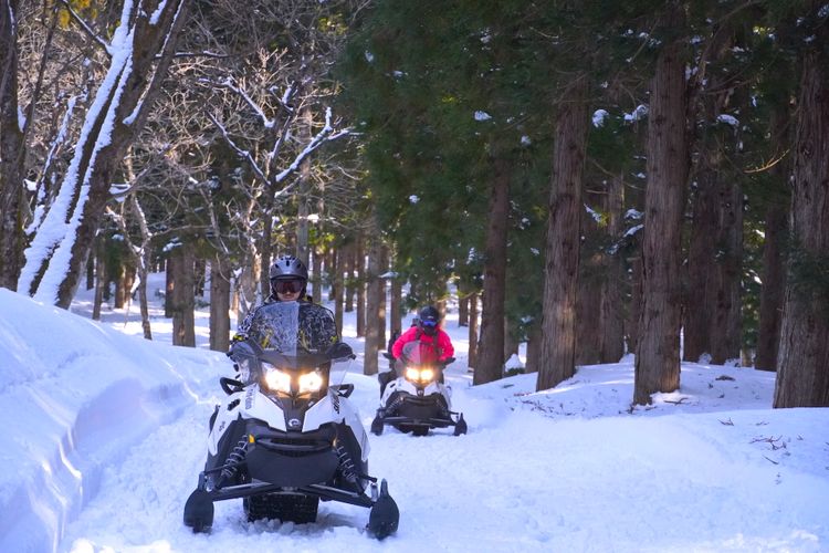 snowmobiling in the woods