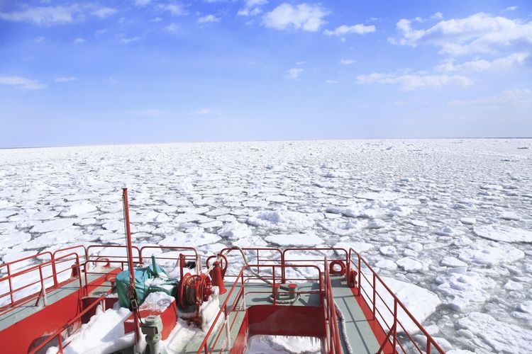Okhotsk Drift Ice