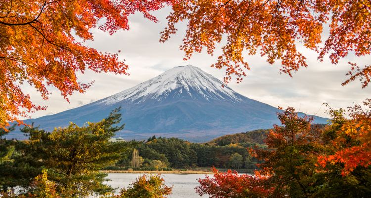 12 sự thật thú vị về núi Phú Sĩ ngay cả người Nhật cũng không biết |  tsunagu Japan