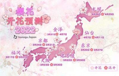 Tsunagu Japan